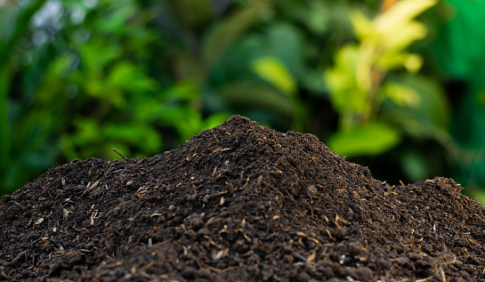 Imagem ilustrativa de Produção de bioinsumos on farm